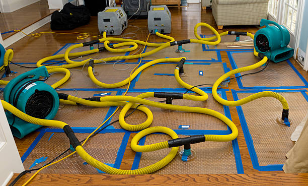 Professional Sewage Cleanup technician working in The Colony, TX